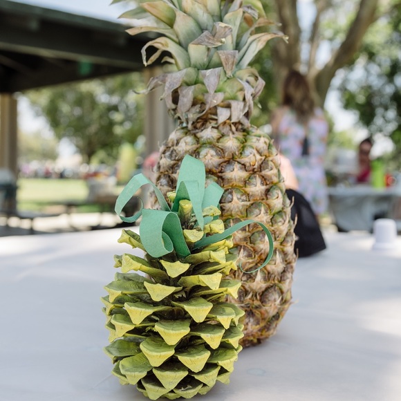 Meet your Posher, Shannon - Picture 2 of 2